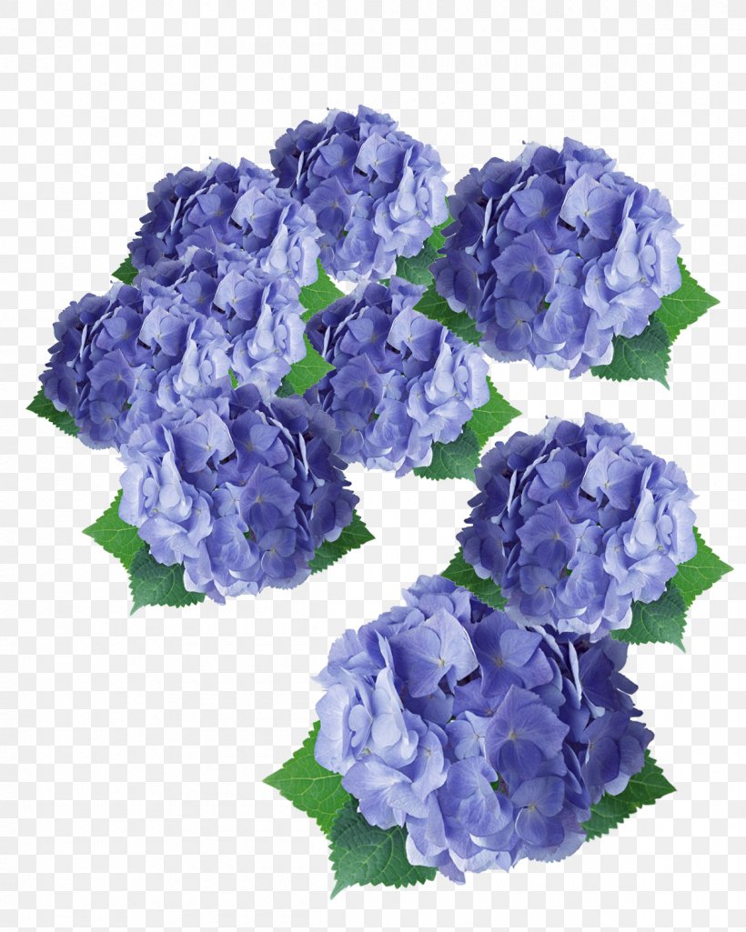 Flower Purple Hydrangea Floral Design, PNG, 1200x1500px, Flower, Artificial Flower, Blue, Cornales, Cut Flowers Download Free