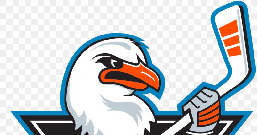 San Diego Gulls American Hockey League Anaheim Ducks Cleveland Monsters San Antonio Rampage, PNG, 1200x630px, San Diego Gulls, American Hockey League, Anaheim Ducks, Area, Beak Download Free