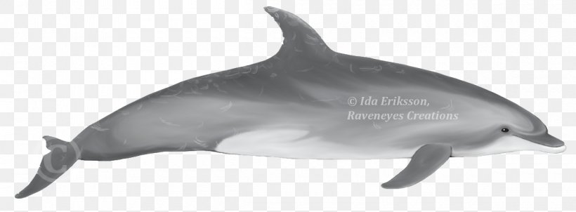 Spinner Dolphin Common Bottlenose Dolphin Short-beaked Common Dolphin Striped Dolphin Rough-toothed Dolphin, PNG, 1200x442px, Spinner Dolphin, Animal Figure, Black And White, Bottlenose Dolphin, Cetacea Download Free