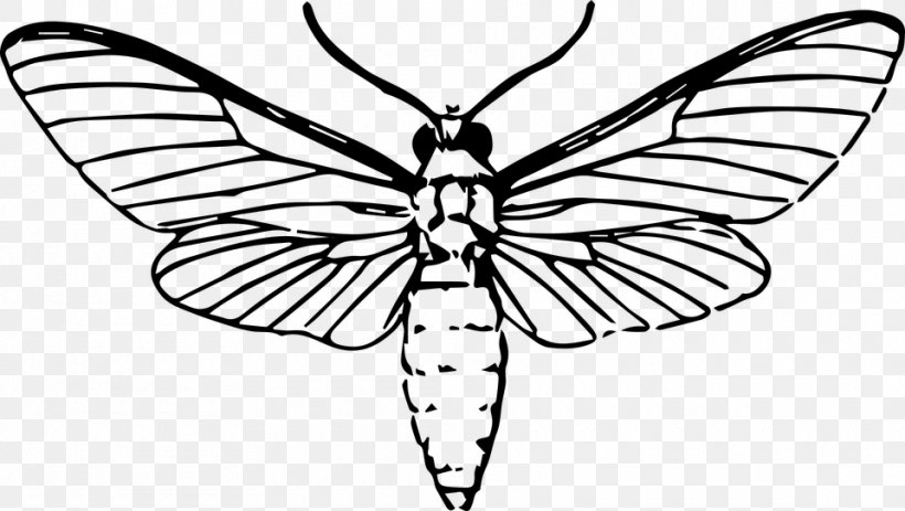 Butterfly Insect Moth Drawing Clip Art, PNG, 960x543px, Butterfly, Art, Arthropod, Artwork, Black And White Download Free