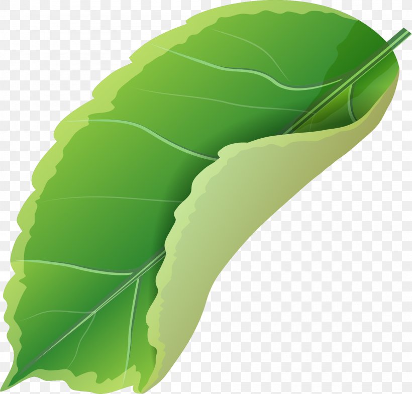 Leaf Green Designer, PNG, 2001x1914px, Leaf, Butterflies And Moths, Butterfly, Designer, Google Images Download Free