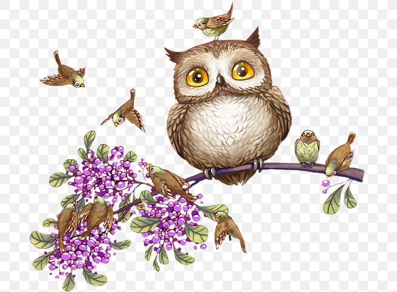Owl Bird Clip Art, PNG, 700x603px, Owl, Beak, Bird, Bird Of Prey, Blog Download Free