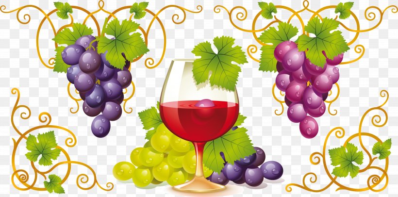 Red Wine Common Grape Vine White Wine Clip Art, PNG, 3543x1757px, Wine, Common Grape Vine, Drink, Flowering Plant, Food Download Free