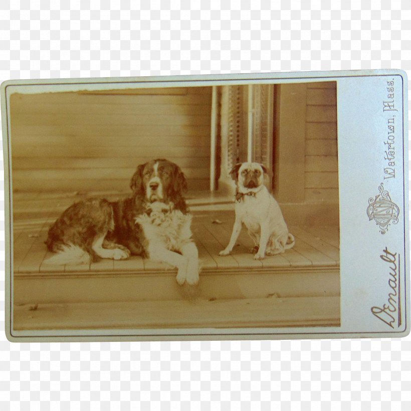 Spaniel Dog Breed Picture Frames Rectangle, PNG, 1748x1748px, Spaniel, Breed, Carnivoran, Dog, Dog Breed Download Free