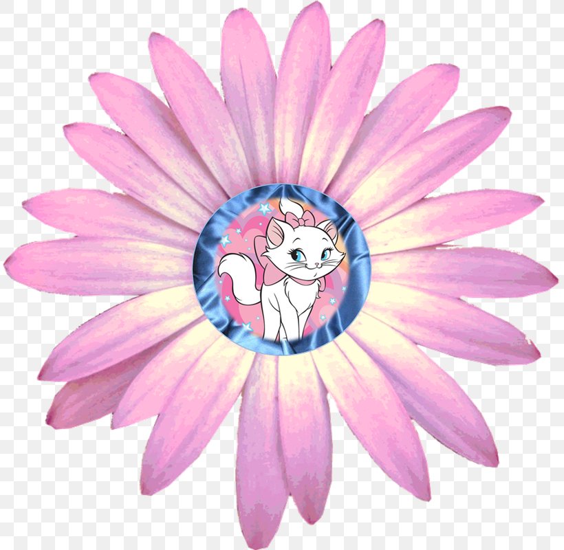 Transvaal Daisy Common Daisy Flower Clip Art, PNG, 811x800px, Transvaal Daisy, Art, Common Daisy, Cut Flowers, Daisy Download Free