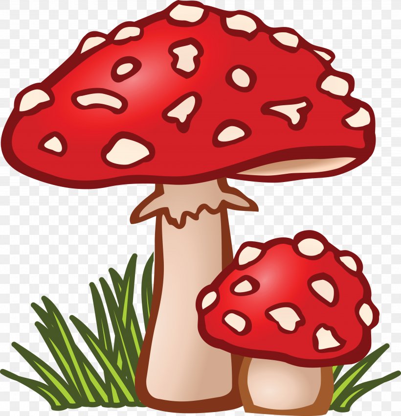 Mushroom Fungus Amanita Muscaria Clip Art, PNG, 4000x4147px, Mushroom, Amanita Muscaria, Artwork, Cartoon, Common Mushroom Download Free