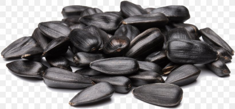 Nuts Sunflower Seed, PNG, 864x401px, Nut, Common Sunflower, Dried Fruit, Food, Fruit Download Free