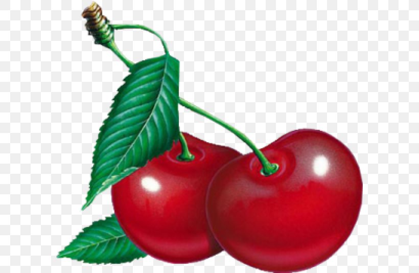 Transparency Image Clip Art Cherries, PNG, 600x534px, Cherries, Acerola, Acerola Family, Cherry, Drupe Download Free