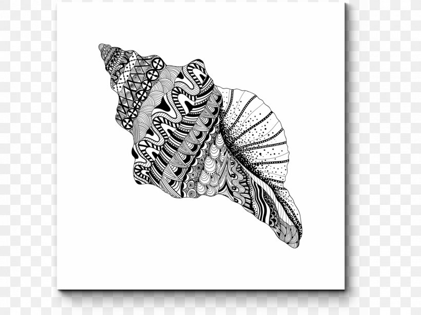 Seashell Drawing Vector Graphics Coloring Book Illustration, PNG, 1400x1050px, Seashell, Black And White, Coloring Book, Cowry, Drawing Download Free
