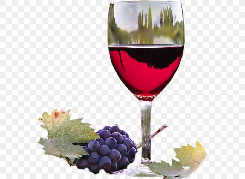Wine Tasting Malbec Winemaking Winery, PNG, 571x600px, Wine, Aroma, Aroma Of Wine, Box Wine, Champagne Stemware Download Free