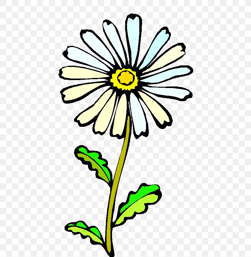 Coloring Book Drawing Flower Mouse Mats Computer Mouse, PNG, 490x841px, Coloring Book, Art, Artwork, Ausmalbild, Black And White Download Free