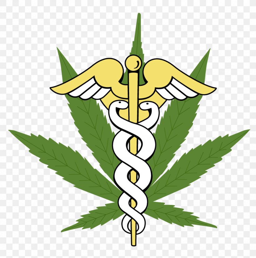 Medical Cannabis Medicine Medical Marijuana Card Legality Of Cannabis, PNG, 978x986px, Medical ...