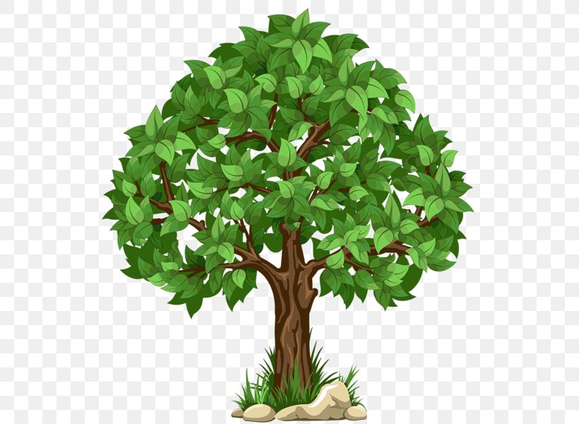 Tree Clip Art, PNG, 546x600px, Tree, Branch, Flowerpot, Forest, Houseplant Download Free