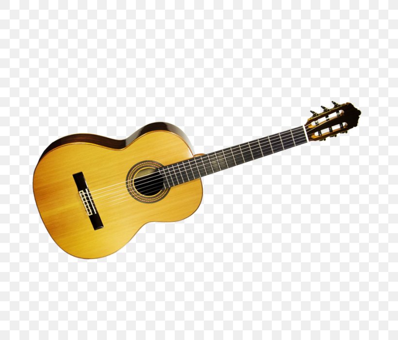 Acoustic Guitar Ukulele Bass Guitar Guitar Amplifier Acoustic-electric Guitar, PNG, 700x700px, Watercolor, Cartoon, Flower, Frame, Heart Download Free