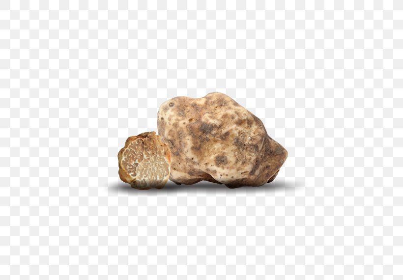 Alba Truffle Oil Piedmont White Truffle Mushroom, PNG, 570x570px, Alba, Artifact, Gourmet, Istock, Mushroom Download Free