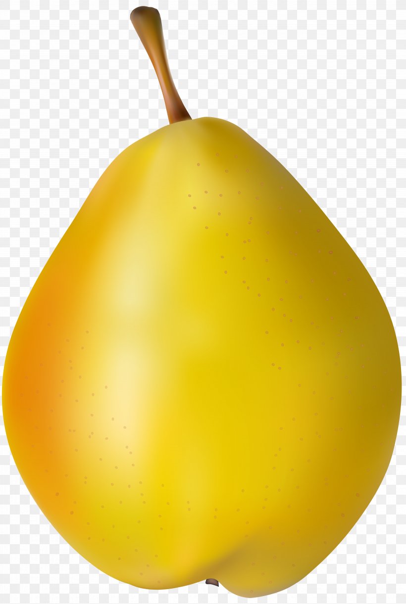 Amygdaloideae Asian Pear Apricot, PNG, 5370x8000px, Amygdaloideae, Apple, Asian Pear, Doodle, Food Download Free