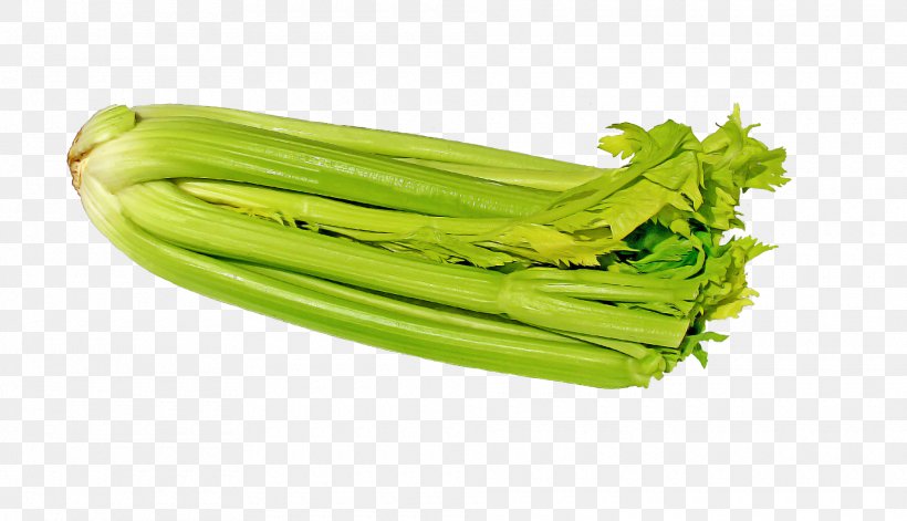 Celery Organic Food Vegetable Celeriac Parsnip, PNG, 1920x1103px, Celery, Celeriac, Celery Extract, Cholesterol, Choy Sum Download Free