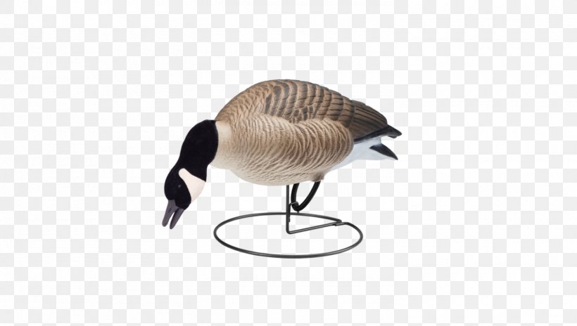 Goose Decoy Duck Waterfowl Hunting, PNG, 1500x850px, Goose, Beak, Bird, Decoy, Duck Download Free