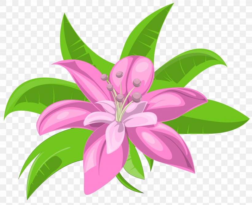 Pink Flowers Clip Art, PNG, 6257x5096px, Flower, Drawing, Flora, Floral Design, Flowering Plant Download Free