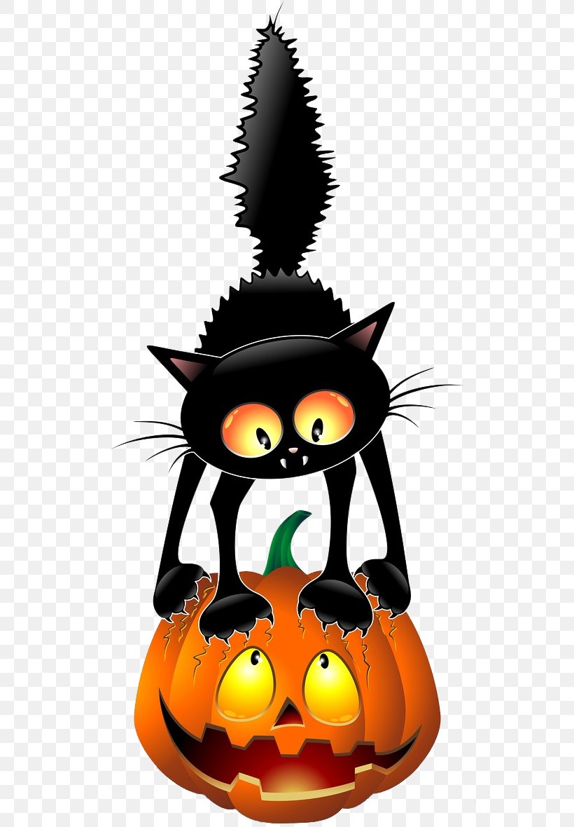 Black Cat Halloween Clip Art, PNG, 552x1180px, Cat, Black Cat, Calabaza, Carnivoran, Cartoon Download Free