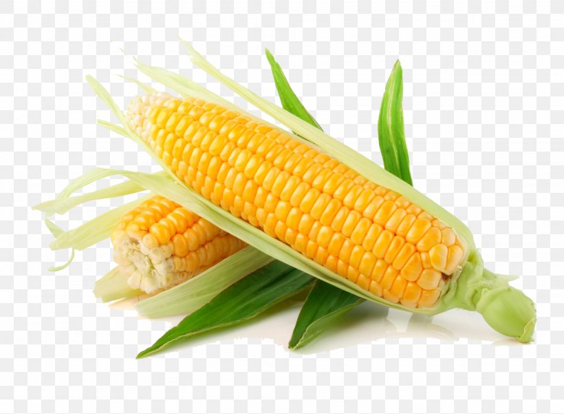 Crop Maize Cereal Barrix Agro Sciences Private Limited Vegetable, PNG, 2048x1503px, Crop, Bean, Cash Crop, Cereal, Commodity Download Free