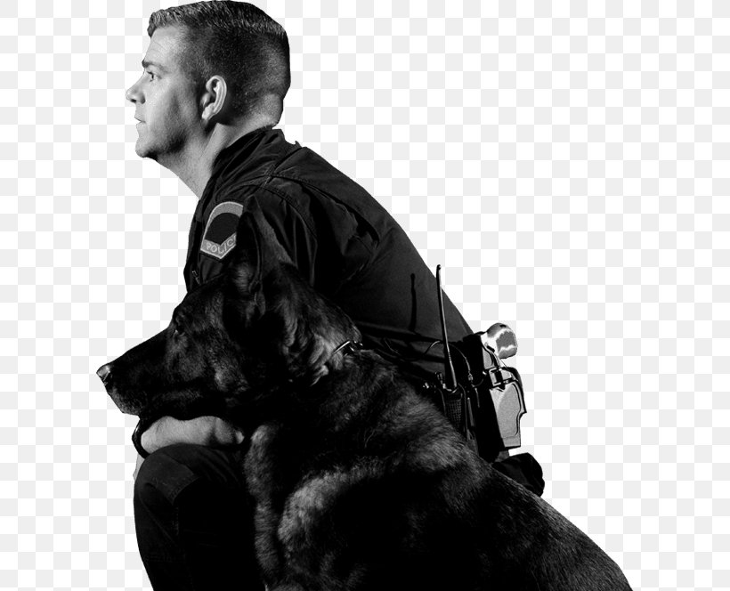 German Shepherd Police Dog Police Officer Royalty-free, PNG, 604x664px, German Shepherd, Aggression, Alamy, Black And White, Certified First Responder Download Free