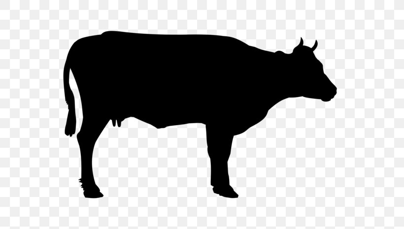 Holstein Friesian Cattle Angus Cattle Welsh Black Cattle Hereford Cattle Beef Cattle, PNG, 700x465px, Holstein Friesian Cattle, Angus Cattle, Beef Cattle, Black, Black And White Download Free