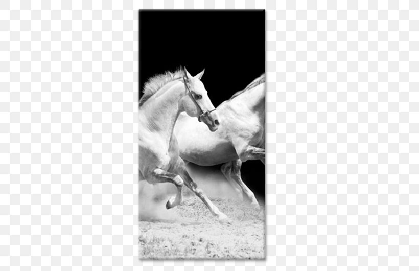 Horse Black And White Picture Frames Painting Animal, PNG, 750x530px, Horse, Animal, Art, Artikel, Black And White Download Free
