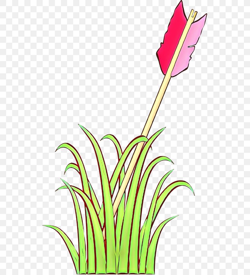 Plant Clip Art Flower Grass Family Grass, PNG, 542x900px, Cartoon, Flower, Grass, Grass Family, Plant Download Free