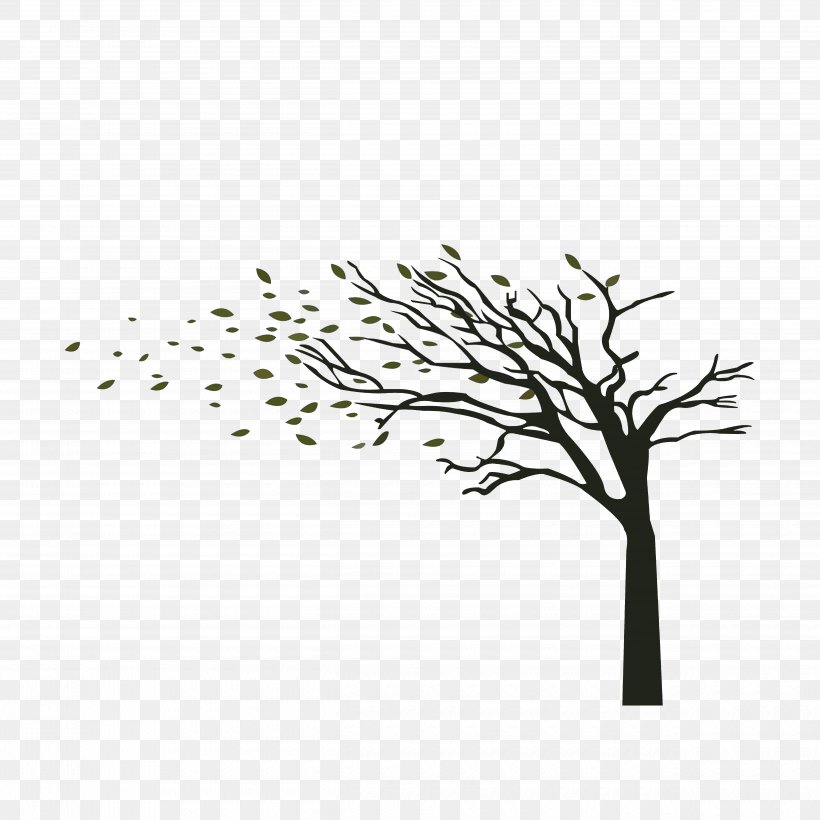 Tree Wind Branch Wall Decal, PNG, 5000x5000px, Tree, Autumn, Black And White, Branch, Color Download Free