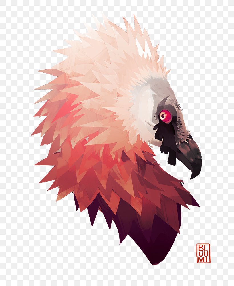 Bearded Vulture Drawing