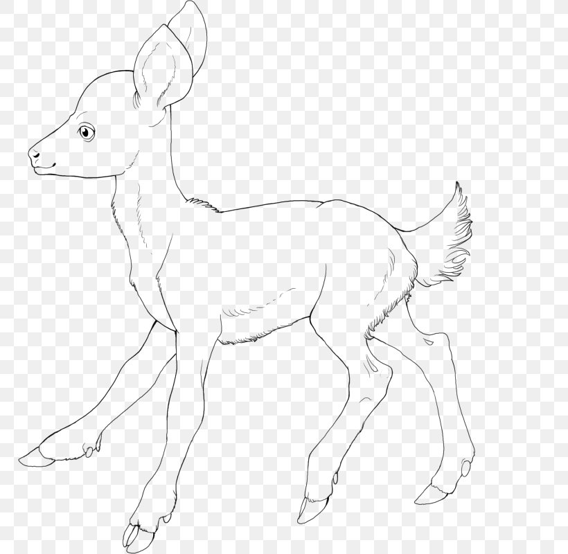 Reindeer Antelope Line Art Pack Animal White, PNG, 768x800px, Reindeer, Animal Figure, Antelope, Antler, Artwork Download Free