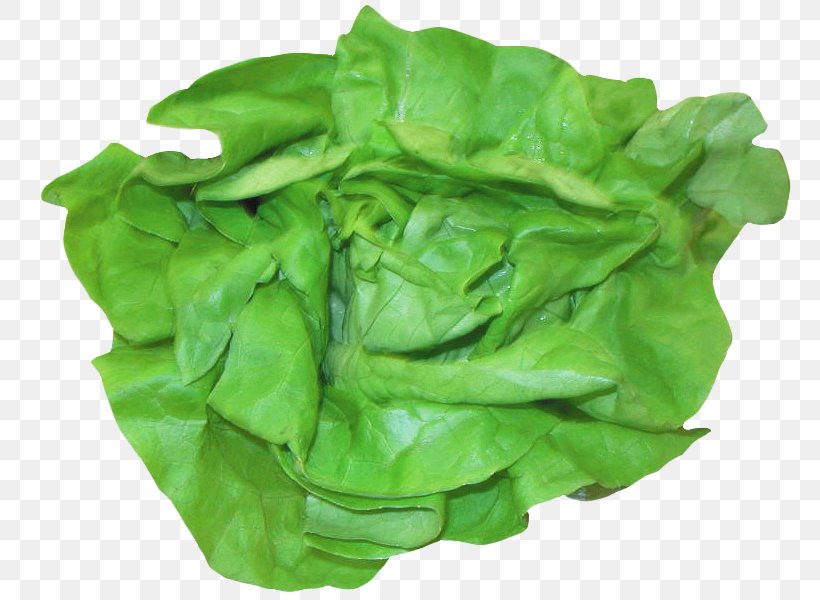 Romaine Lettuce Spinach Chard, PNG, 776x600px, Romaine Lettuce, Chard, Choy Sum, Collard Greens, Food Download Free