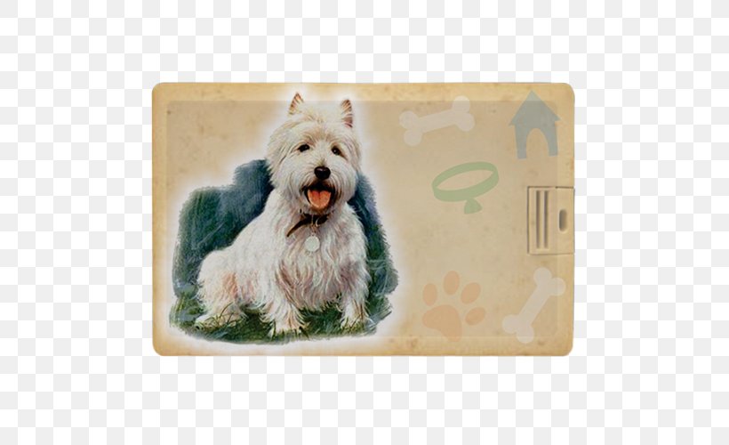 West Highland White Terrier Cairn Terrier Glen Norwich Terrier Schnoodle, PNG, 500x500px, West Highland White Terrier, Breed, Cairn Terrier, Carnivoran, Dog Download Free