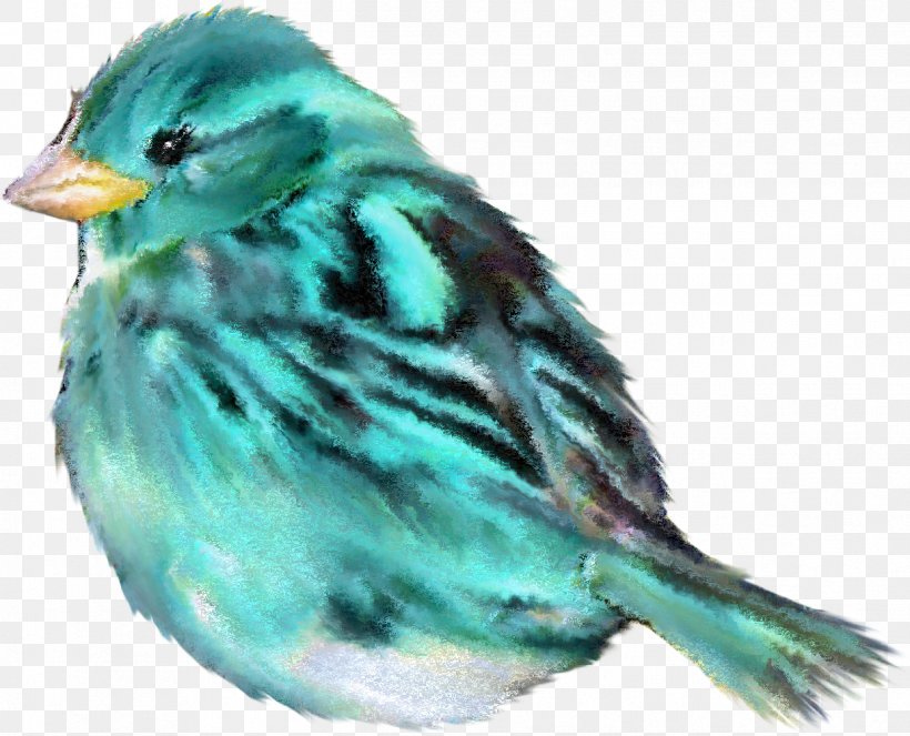 Bird Sparrow Clip Art, PNG, 1241x1004px, Bird, Animal, Beak, Domestic Pigeon, Emberizidae Download Free