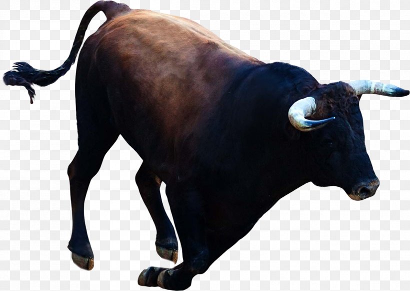 Bull Taurine Cattle Ox Clip Art, PNG, 1192x845px, Bull, Ahuntz, Animal, Cattle, Cattle Like Mammal Download Free