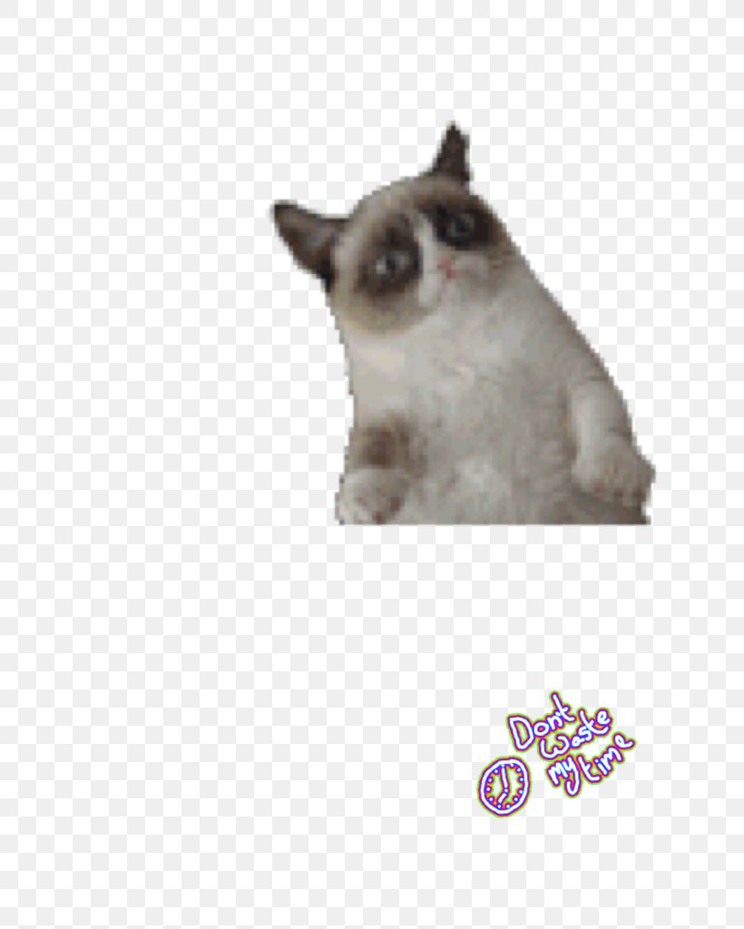 Grumpy Cat Desktop Wallpaper Kitten, PNG, 768x1024px, Cat, Bad Kitty, Carnivoran, Cat Like Mammal, Fur Download Free