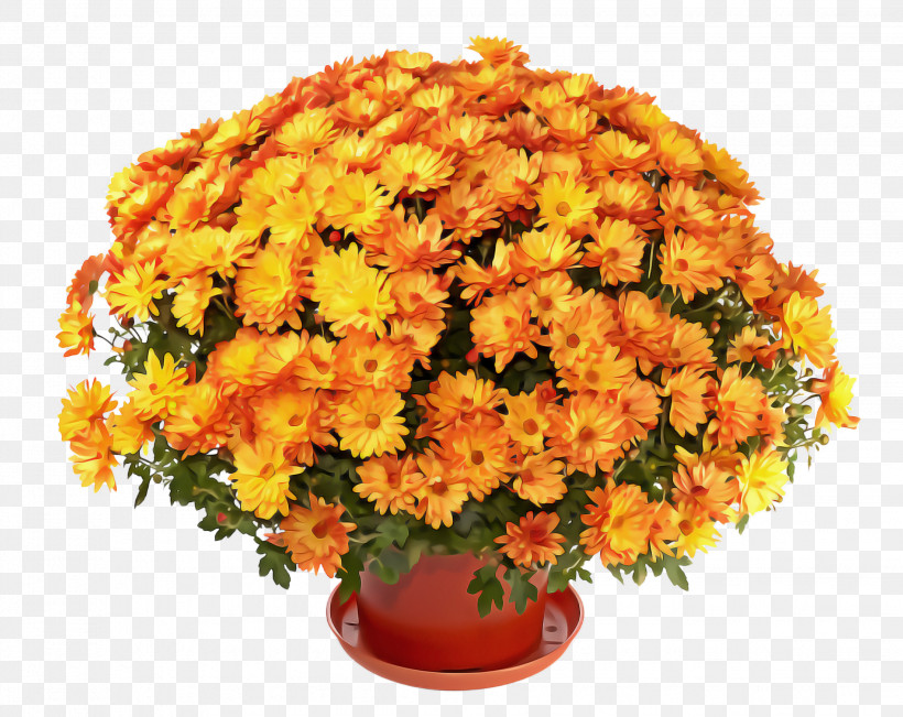 Orange, PNG, 2244x1784px, Flower, Bouquet, Cut Flowers, Flowerpot, Orange Download Free
