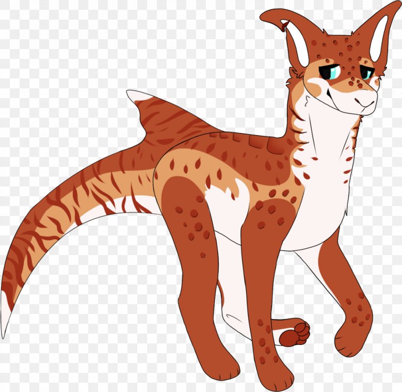 Whiskers Cat Red Fox Cougar Mammal, PNG, 1024x999px, Whiskers, Animal, Animal Figure, Big Cat, Big Cats Download Free