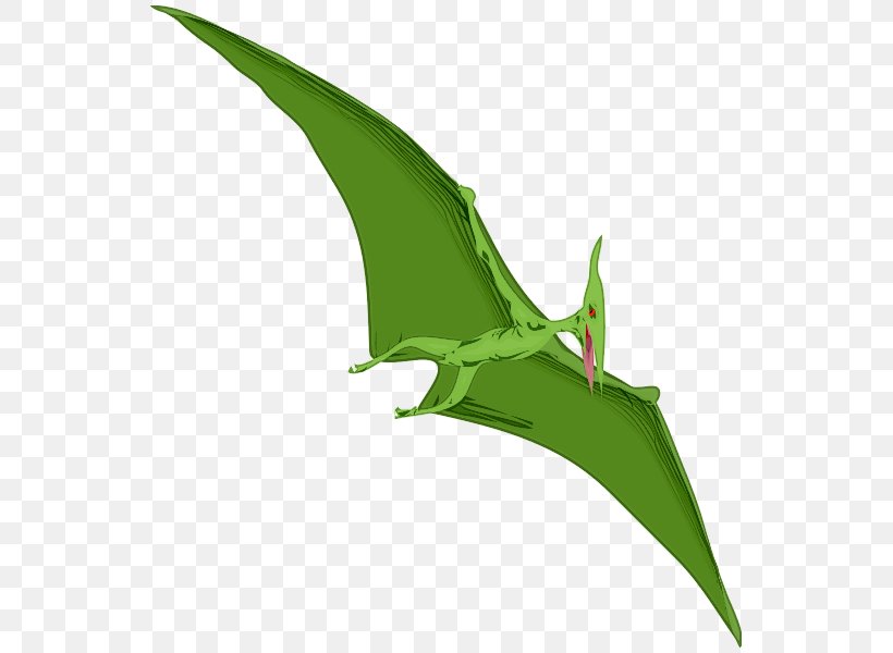 Pterodactyls Pteranodon Tyrannosaurus Pterosaurs Clip Art, PNG, 552x600px, Pterodactyls, Dinosaur, Drawing, Free Content, Grass Download Free