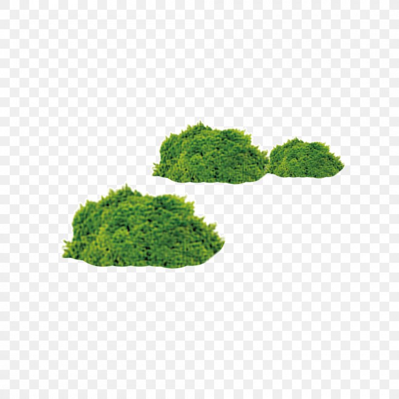 Shrub Download Icon, PNG, 1000x1000px, Shrub, Animation, Grass, Green, Leaf Download Free