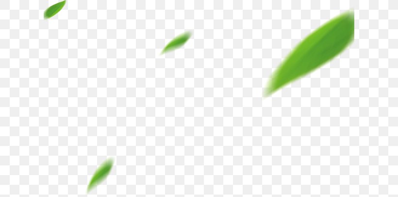 Green Pattern, PNG, 640x405px, Green, Closeup, Computer, Grass, Leaf Download Free