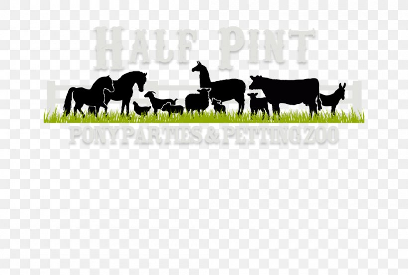 Half Pint Pony Parties & Petting Zoo Bullard Cattle American Miniature Horse, PNG, 1000x675px, Bullard, American Miniature Horse, Area, Cattle, Cattle Like Mammal Download Free