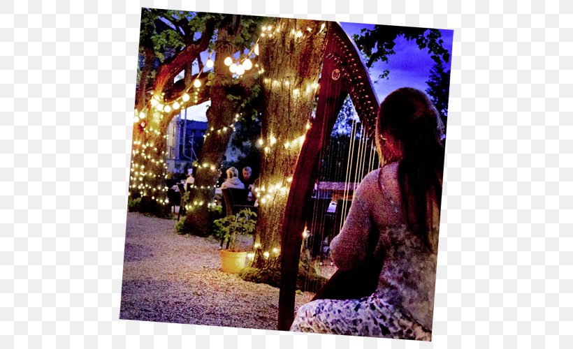 Harpist Susanne Globisch Ireland Harfner, PNG, 500x500px, Harp, Arch, Flower, Harpist, Ireland Download Free