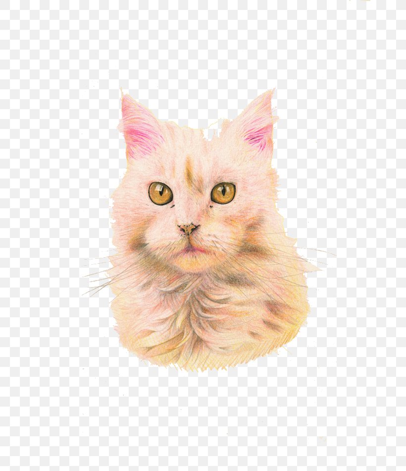 Maine Coon Whiskers Kitten Domestic Short-haired Cat Hello Kitty, PNG, 677x950px, Maine Coon, Carnivoran, Cat, Cat Like Mammal, Domestic Short Haired Cat Download Free