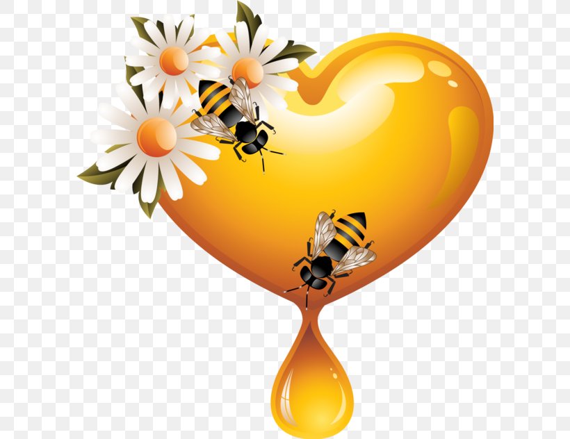 Western Honey Bee Heart Clip Art, PNG, 600x632px, Bee, Flower, Heart, Honey, Honey Bee Download Free