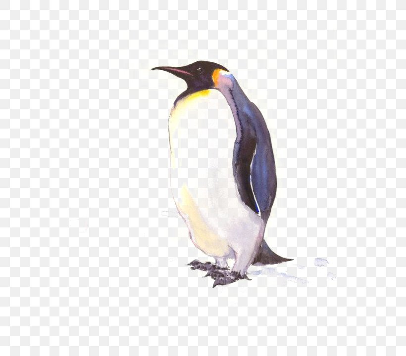 King Penguin Antarctic Drawing Poster, PNG, 537x720px, Penguin, Allposterscom, Antarctic, Antarctica, Art Download Free