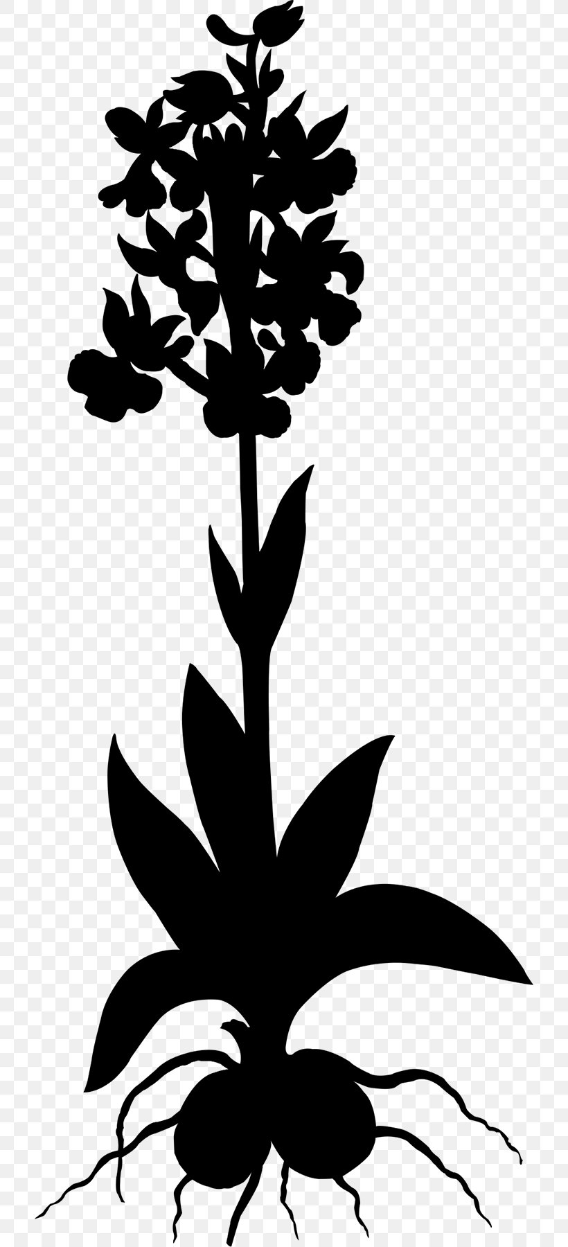 Leaf Floral Design Clip Art Plant Stem, PNG, 720x1800px, Leaf, Blackandwhite, Botany, Floral Design, Flower Download Free