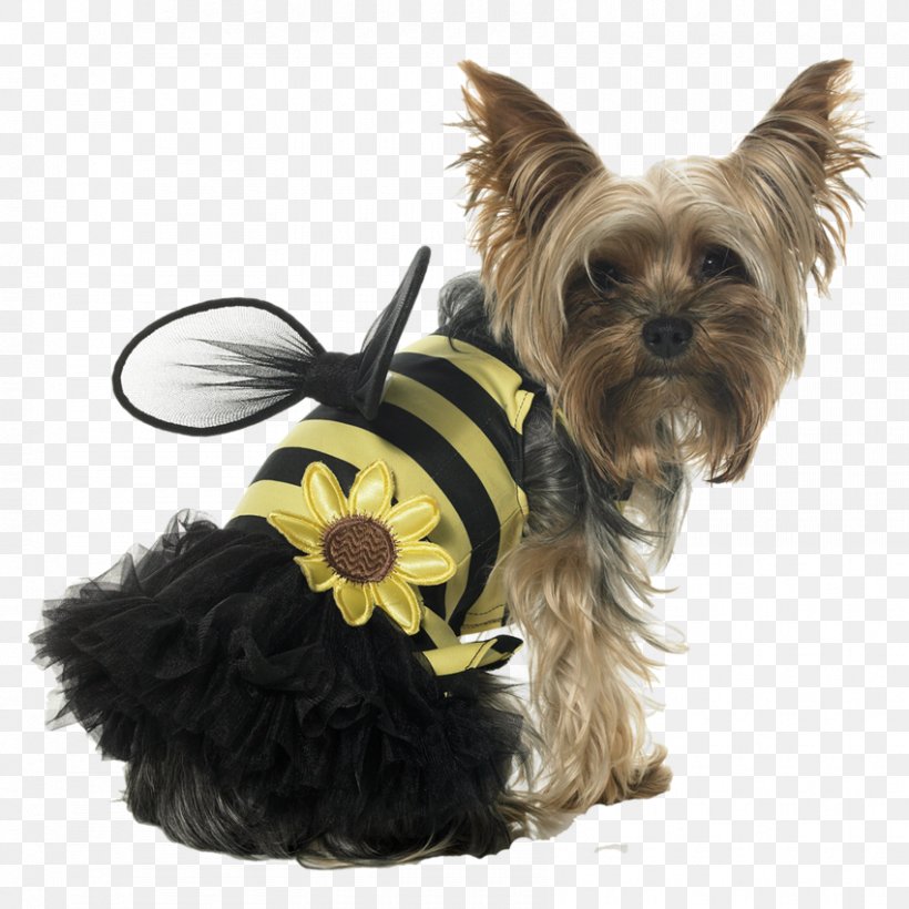 Papillon Dog Puppy Bee Cat Costume, PNG, 850x850px, Papillon Dog, Bee, Bumblebee, Cairn Terrier, Carnivoran Download Free