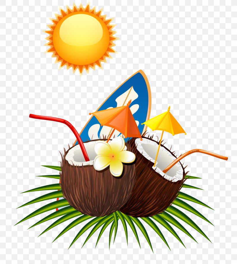 Coconut Euclidean Vector, PNG, 1413x1576px, Coconut, Easter Egg, Flower, Food, Summer Download Free